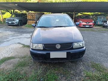Polo x