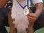 Immagine 4