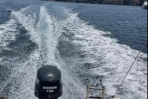 Evinrude e-tec 115 hp