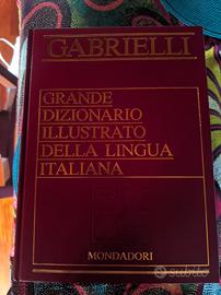 Dizionario illustrato della Lingua Italiana 