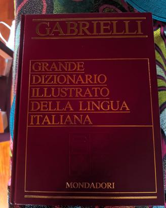 Dizionario illustrato della Lingua Italiana 