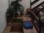Immagine 17
