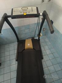 Tapis