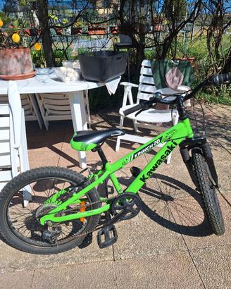 Bicicletta Kawasaki bambino