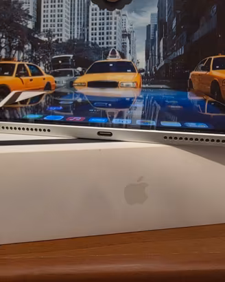  iPad 256 GB