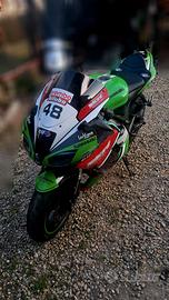 Kawasaki ninja zx-6r 