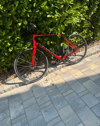 Bici gravel