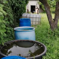 Terreno frutteto servito da acqua, gabbiotto