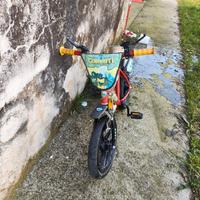 Bicicletta gormiti