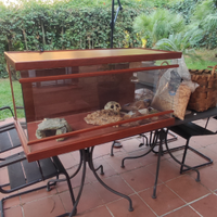 Teca legno e vetro per draghi o piccoli rettili