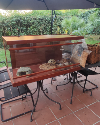 Teca legno e vetro per draghi o piccoli rettili