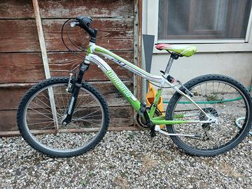 2 bici usate