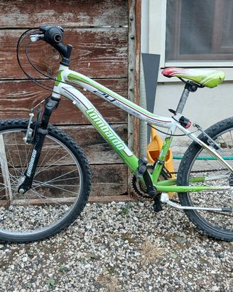 2 bici usate