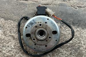 Statore e volano minarelli orizzontale