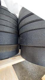 Dischi Palestra foro 50mm