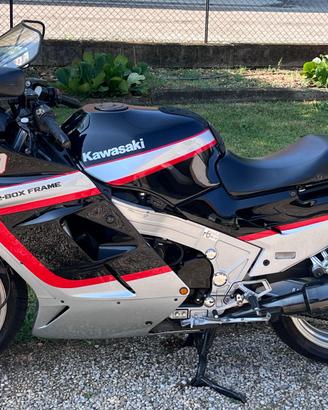 Kawasaki ZX 10 Tomcat