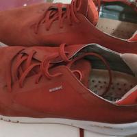 scarpa 41 Geox 