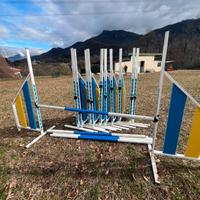 attrezzatura per agility dog