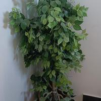 piante artificiali 