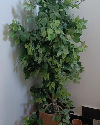piante artificiali 