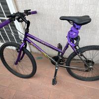 bicicletta usata in buone condizioni