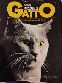 Grande enciclopedia del gatto 