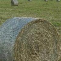 Fieno Balloni