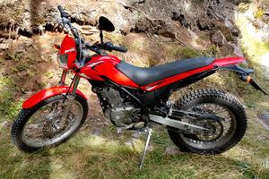  Beta Alp 200