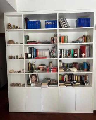 Libreria Contenitore da Incasso