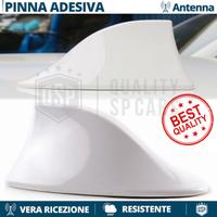 Antenna PINNA BIANCA per SUZUKI VERO SEGNALE