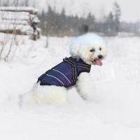 cappotto cane invernale