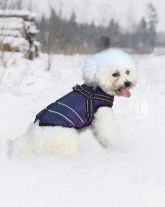 cappotto cane invernale