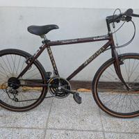 bicicletta Montata 26" cambio Shimano GS200