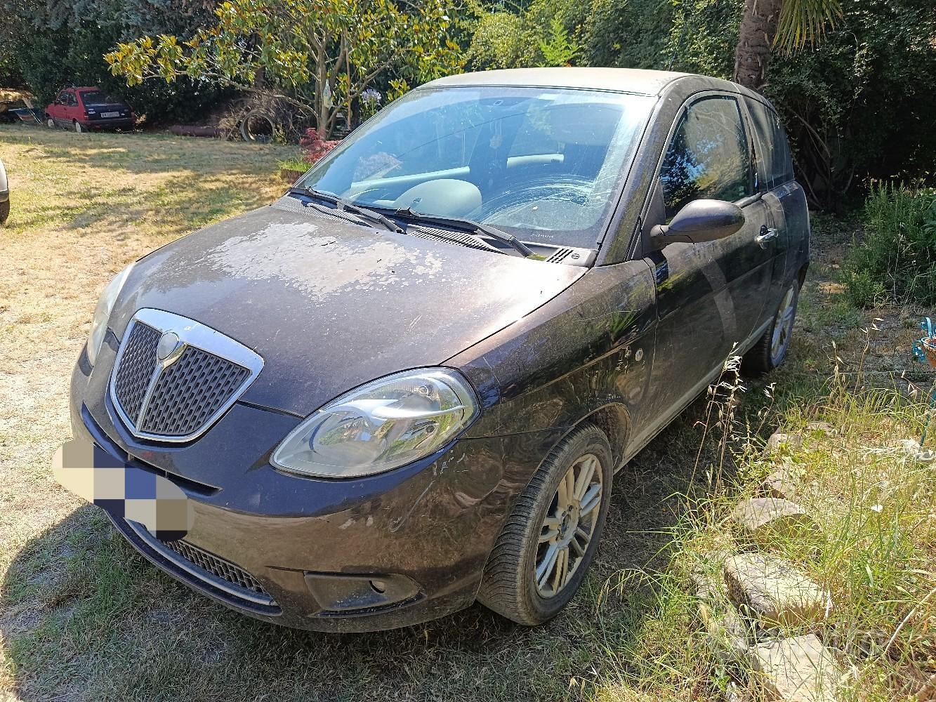 Dacia Y 2007 photo 4
