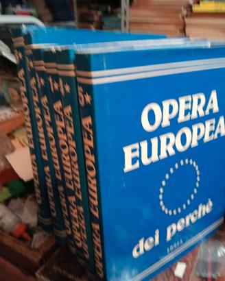 Opera Europea dei perché 