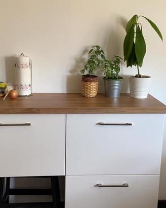 Credenza / Madia / Mobile IKEA METOD