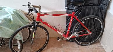 Bicicletta uomo da strada