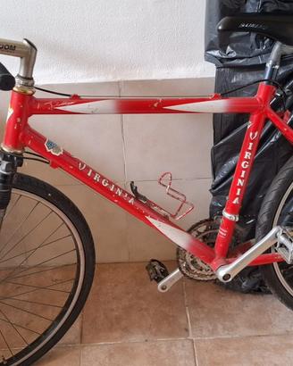 Bicicletta uomo da strada