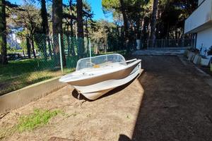 Barca in vetroresina