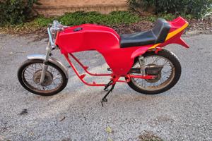 Benelli 250