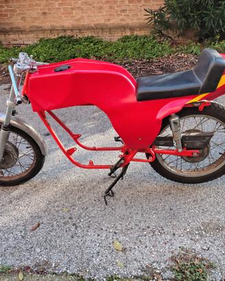 Benelli 250