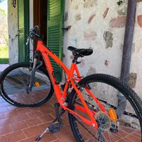 bicicletta mountain bike “rock rider 340”
