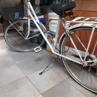 bicicletta donna tipo olandesina