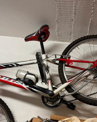 Bici MTB