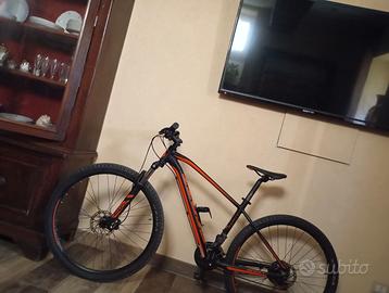 Bici tg L