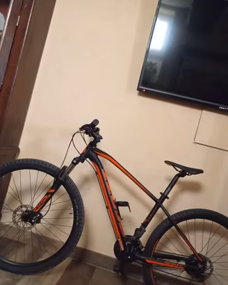Bici tg L