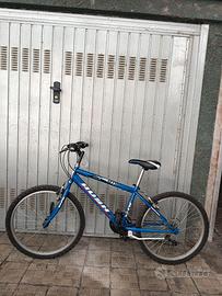 Moviso MTB