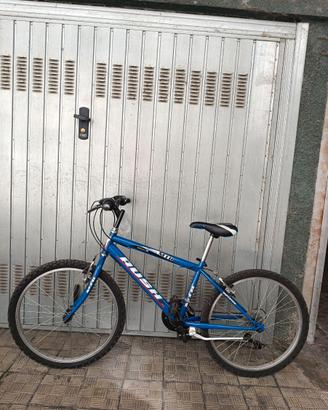 Moviso MTB