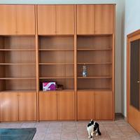 Libreria per ufficio in noce bianco