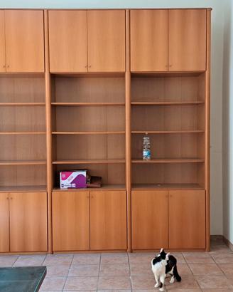 Libreria per ufficio in noce bianco